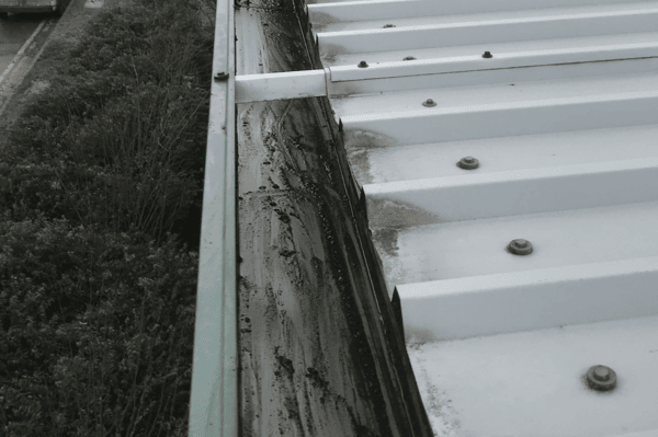 Commercial gutter cleaning specialists in Walton-on-Thames